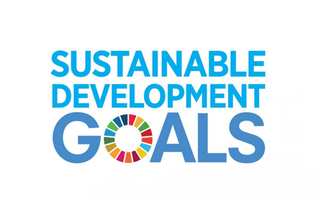 Sustainable Development Goals