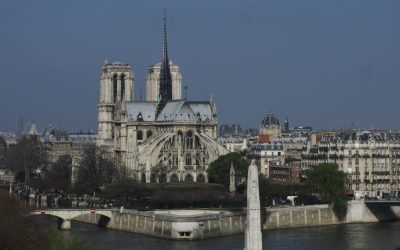 Call for skills for the restoration of Notre Dame de Paris